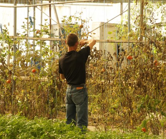 Travail au jardin Travail au jardin